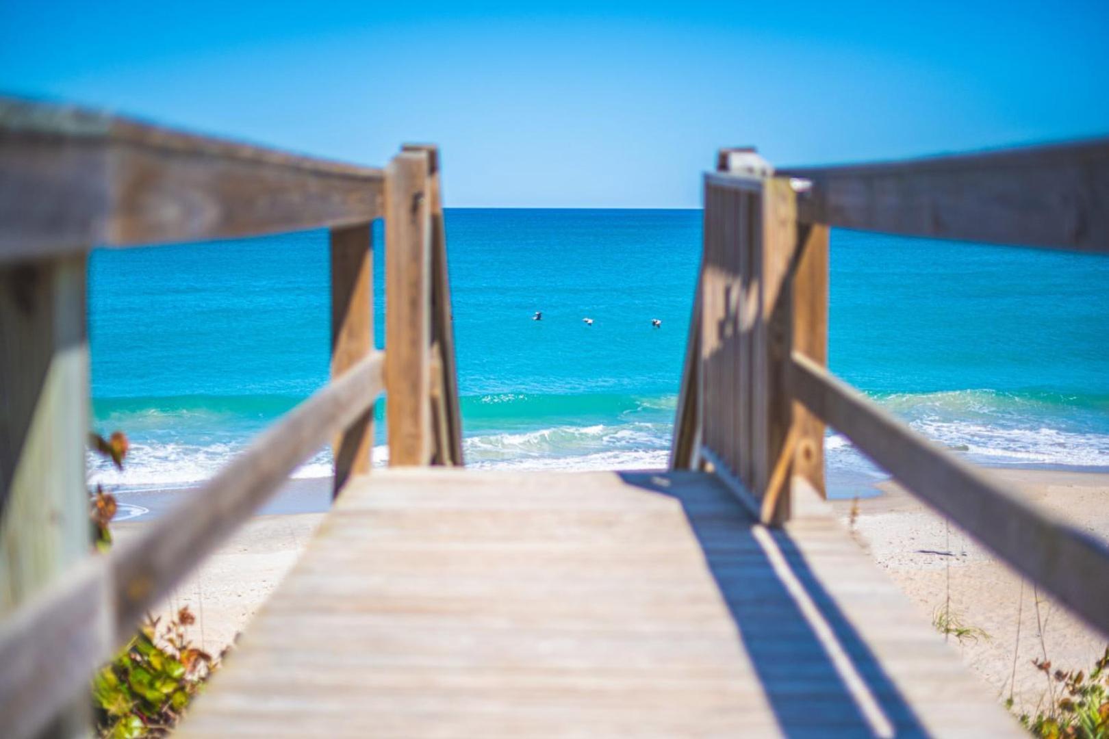 Tranquility Seahorse Suite - Oceanfront Paradise! Мельбурн-Бич Экстерьер фото