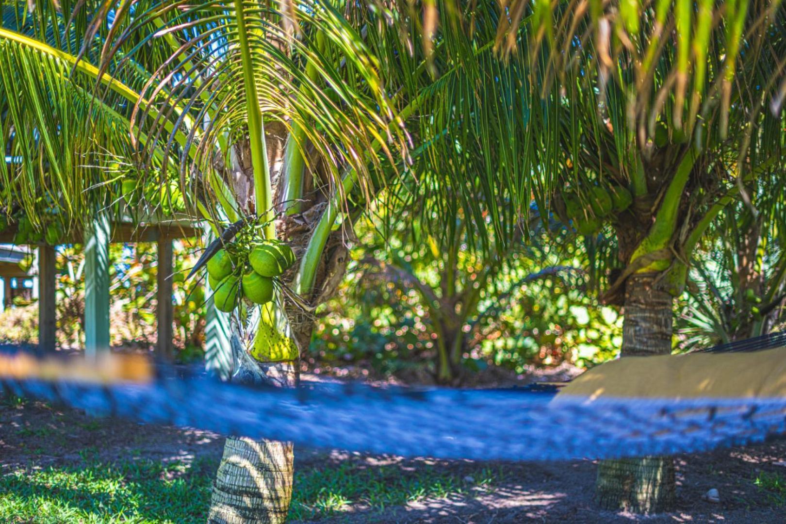 Tranquility Seahorse Suite - Oceanfront Paradise! Мельбурн-Бич Экстерьер фото